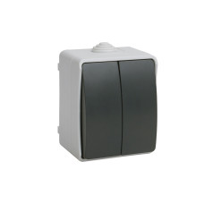 Выключатель 2-клавишный для открытой установки ВС20-2-0-ФСр ФОРС IP54 IEK (EVS20-K03-10-54-DC) Выключатель 2-клавишный для открытой установки ВС20-2-0-ФСр ФОРС IP54 IEK (EVS20-K03-10-54-DC)