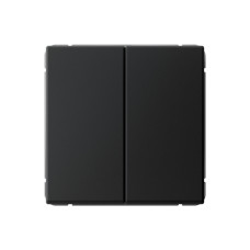 ARTGALLERY 2-клавишный выключатель, сх.5, 10АХ, механизм, карбон Systeme Electric (GAL001051)