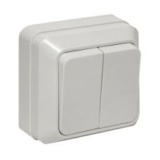 Рим Выключатель 2-клавишный 10А белый EKF (ENV10-023-10) Рим Выключатель 2-клавишный 10А белый EKF (ENV10-023-10)