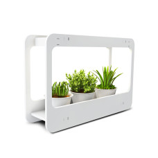 Подставка-светильник для растений PMG Подставка-светильник для растений PMG