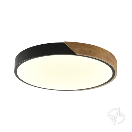Светильник потолочный с пультом ALBERRO 24Вт LED ZORTES (ZRS.01287.24)