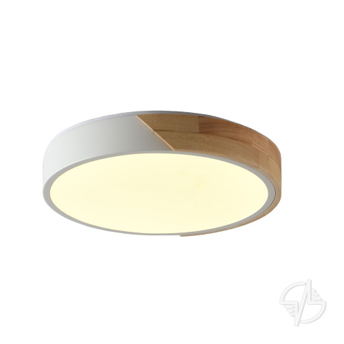 Светильник потолочный с пультом ALBERRO 36Вт LED ZORTES (ZRS.01289.36)